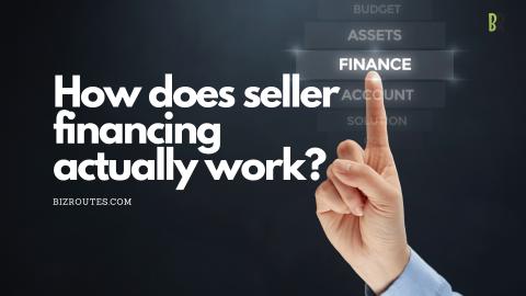 Seller financing business for sale 