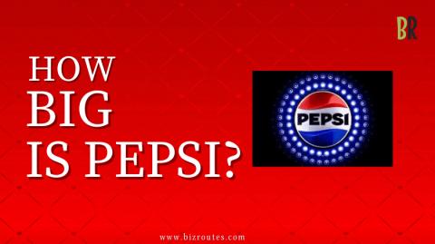 pepsico net worth